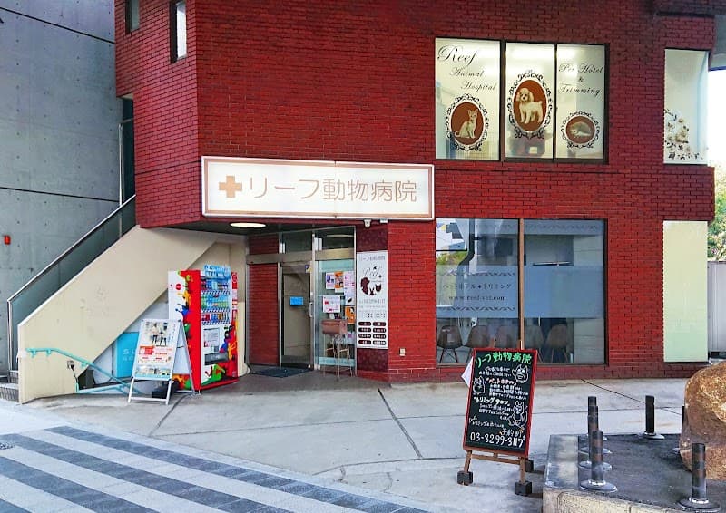 リーフ動物病院
