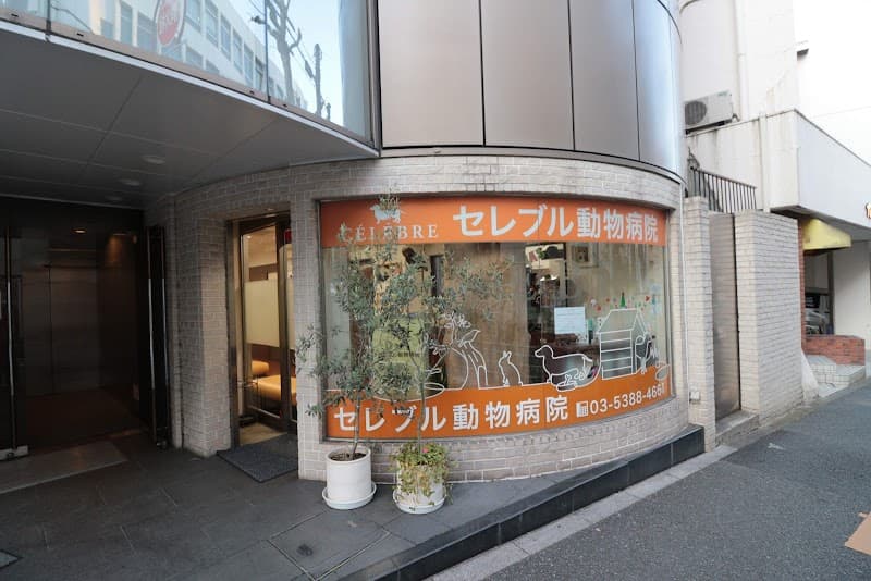セレブル動物病院