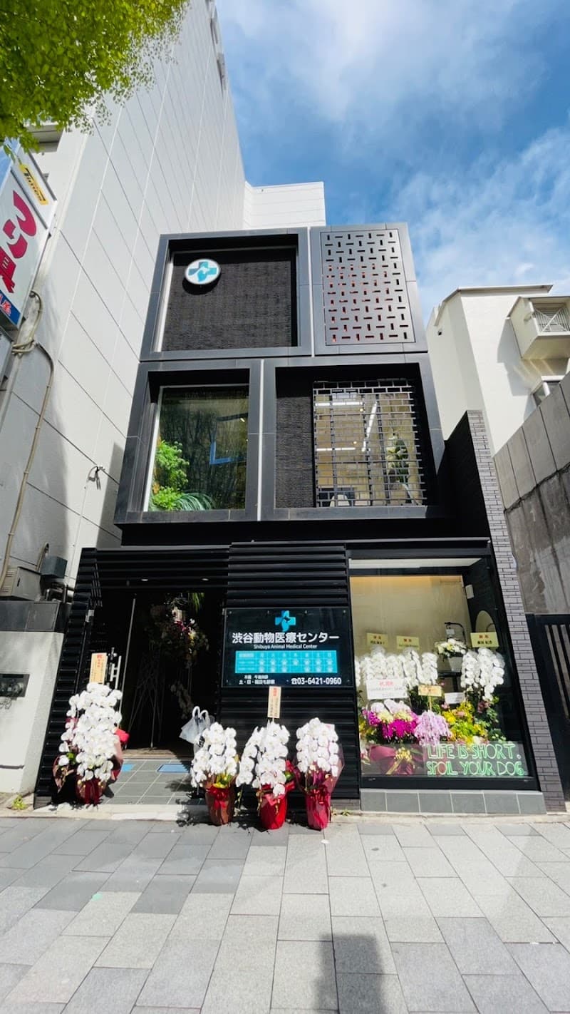 渋谷動物医療センター