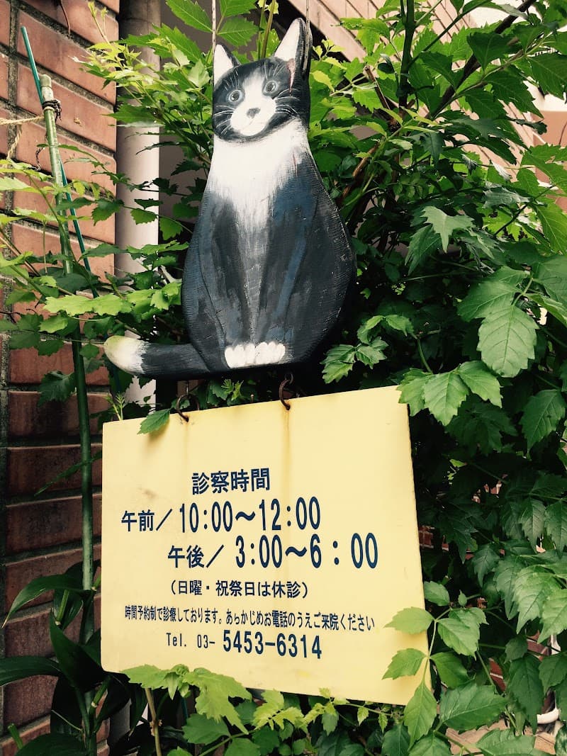 ねこの病院 代々木上原