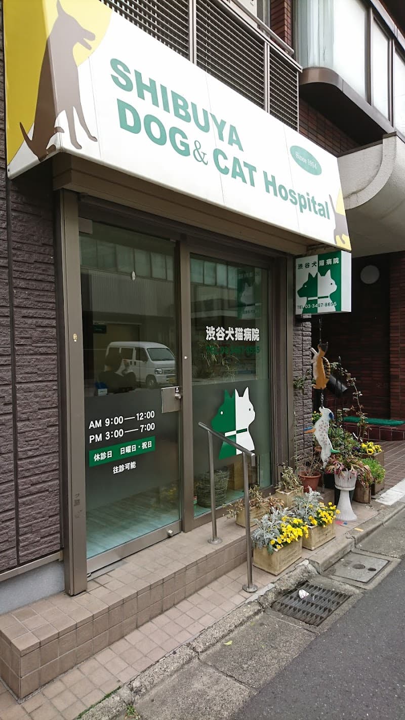 渋谷犬猫病院