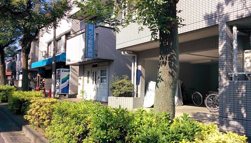 ヨコヤマ動物病院