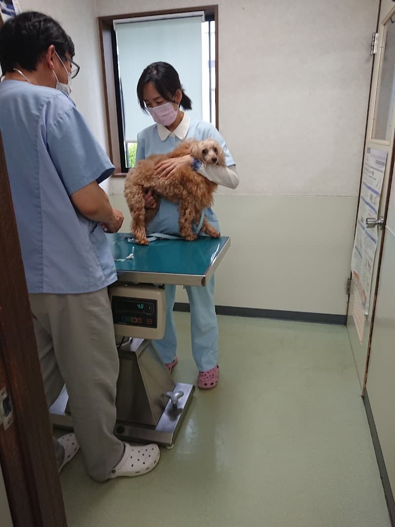 こだいら西動物病院