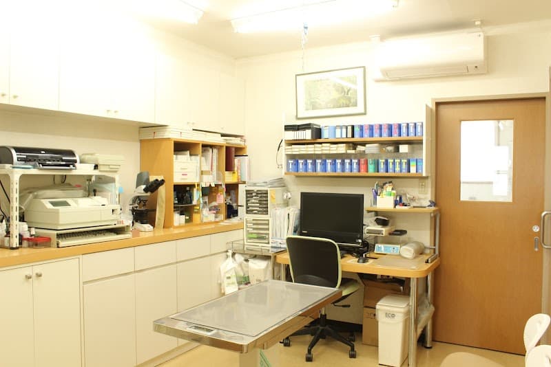 アカシア動物病院