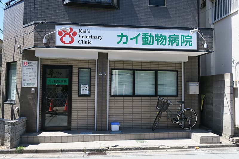 カイ動物病院