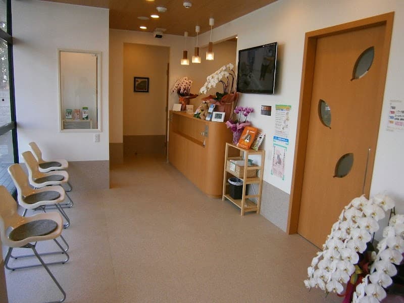 梨の木どうぶつ病院