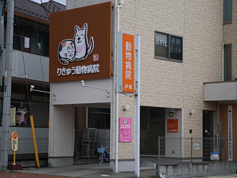 りきゅう動物病院