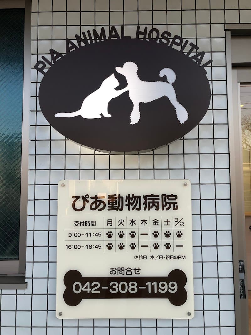 ピア動物病院