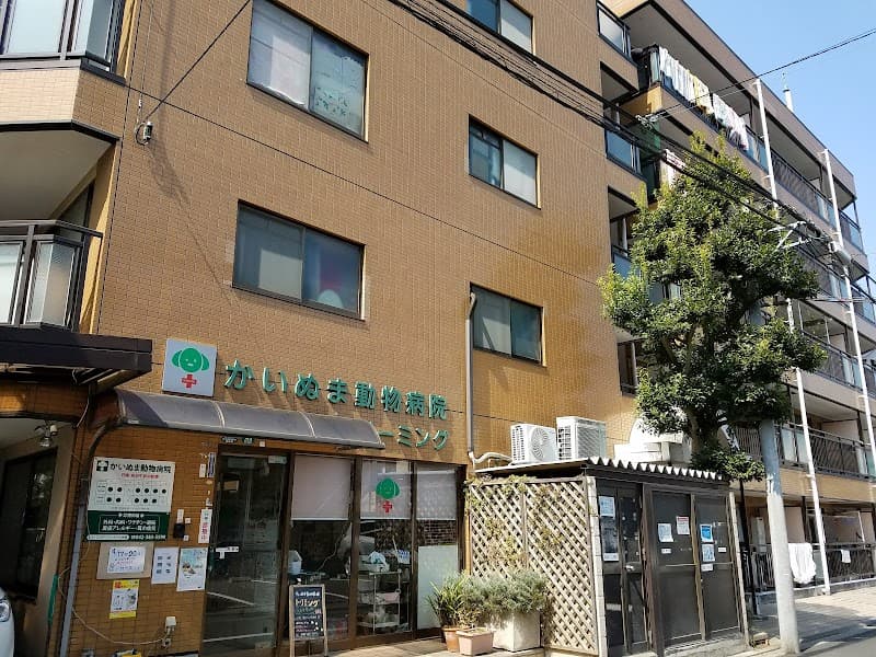 かいぬま動物病院