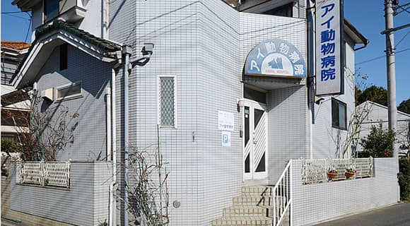 アイ動物病院