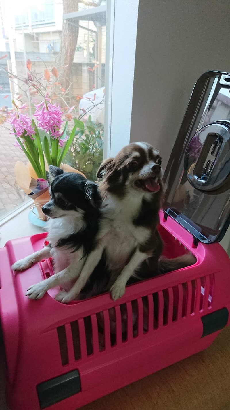 八巻動物病院