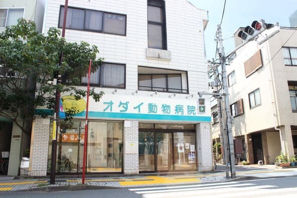 オダイ動物病院