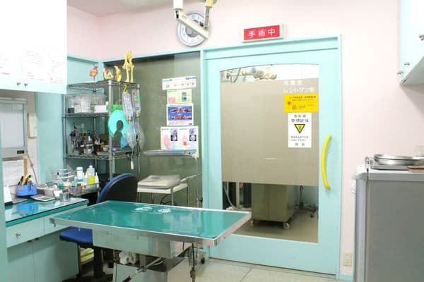 キムラ動物病院