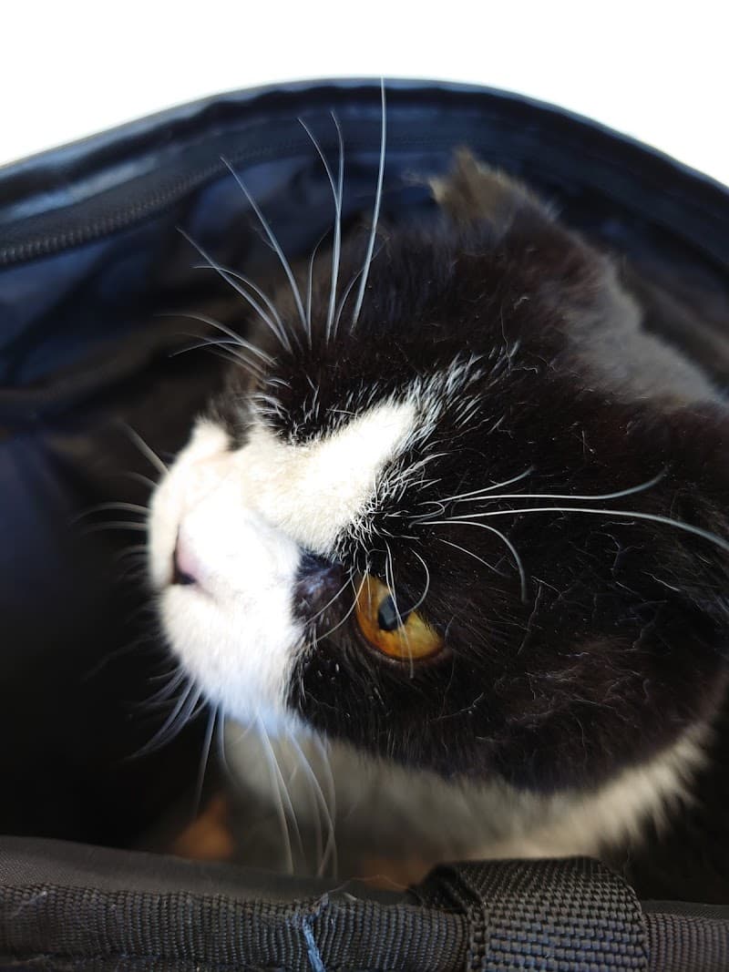 町屋動物病院