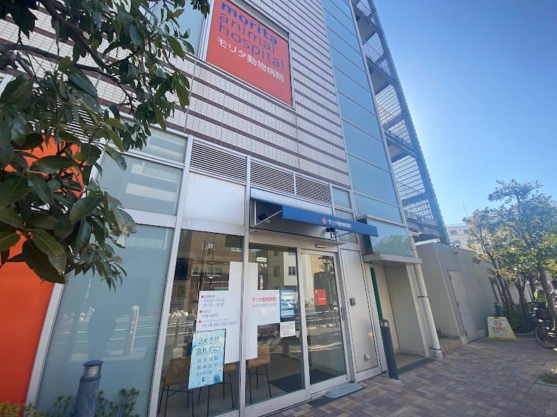 モリタ動物病院