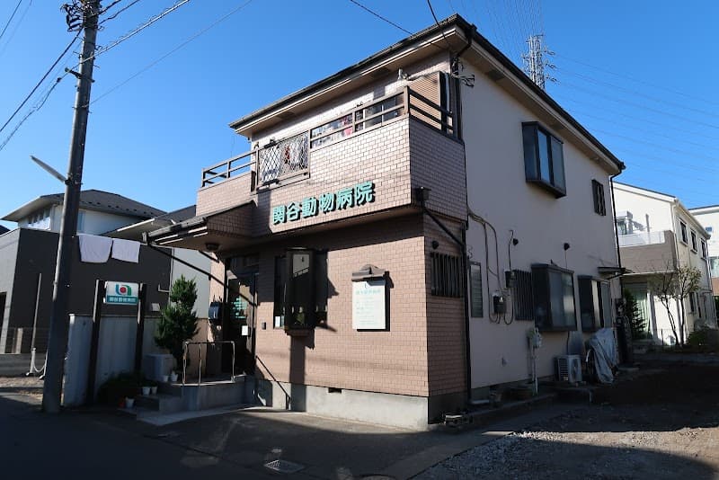 関谷動物病院