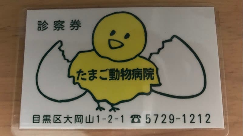 タマゴ動物病院