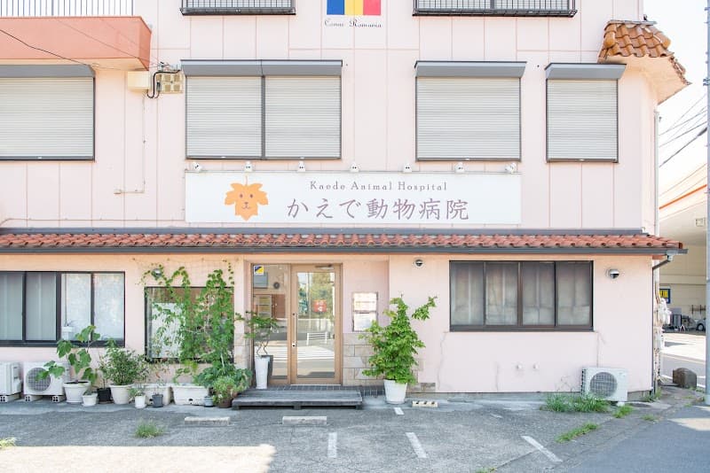 かえで動物病院