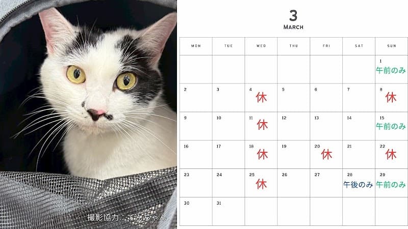 みたかマロン動物病院