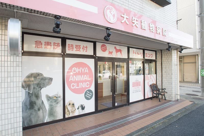 大矢動物病院