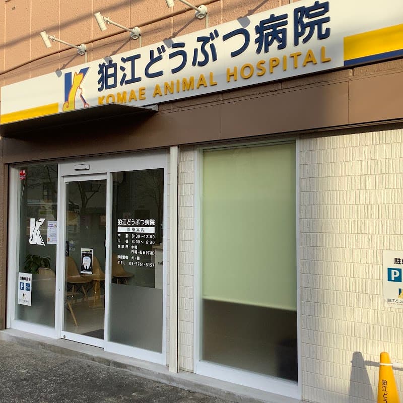 狛江どうぶつ病院