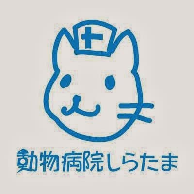 動物病院しらたま