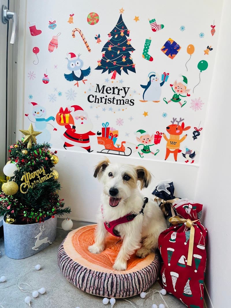 東新宿どうぶつクリニックPeco