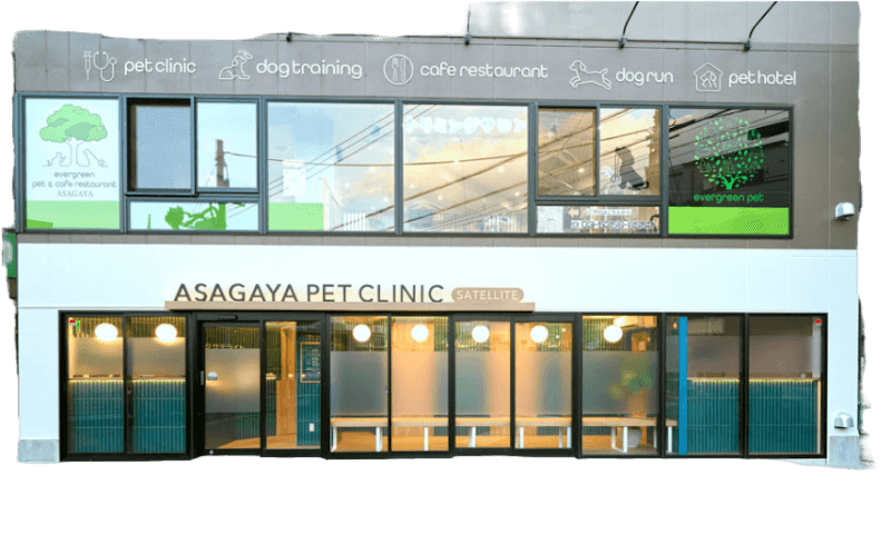 evergreen pet clinic ASAGAYA