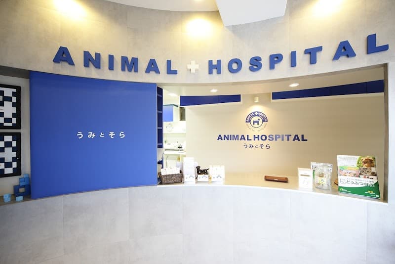 動物病院 うみとそら