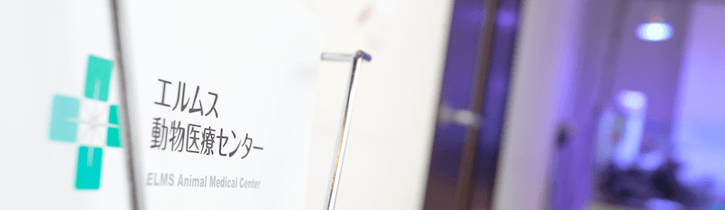 エルムス動物医療センター八幡山院