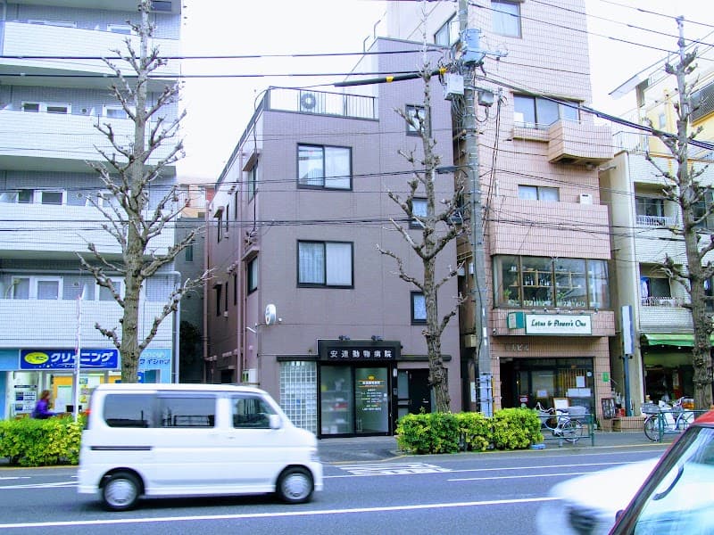 安達動物病院