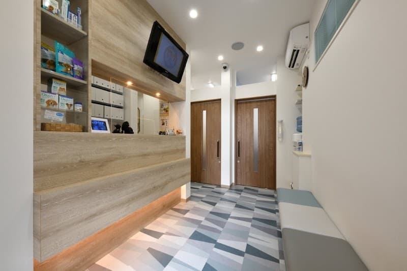 駒沢どうぶつ病院