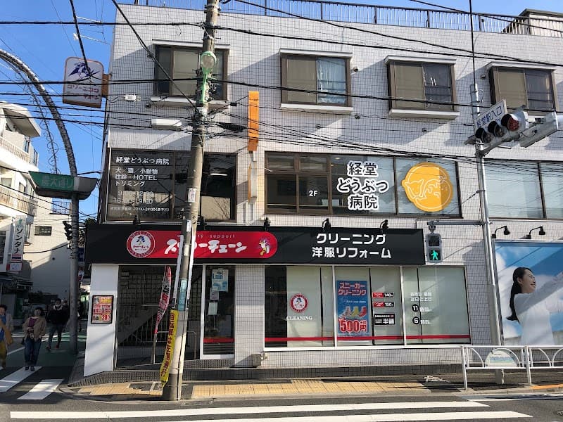 経堂どうぶつ病院