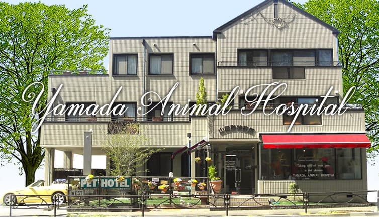 山田動物病院