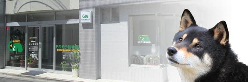 もりぞう動物病院
