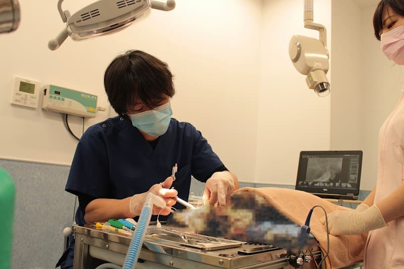 荻窪ツイン動物病院