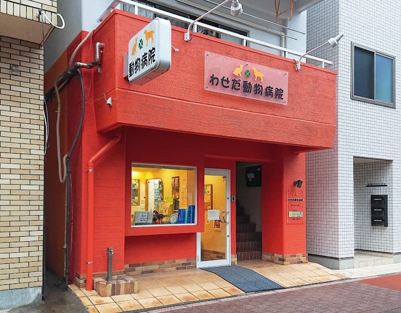 わせだ動物病院