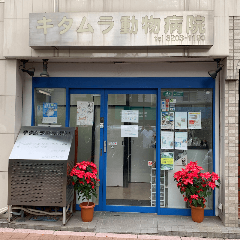 キタムラ動物病院