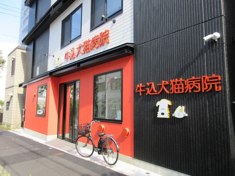 牛込犬猫病院