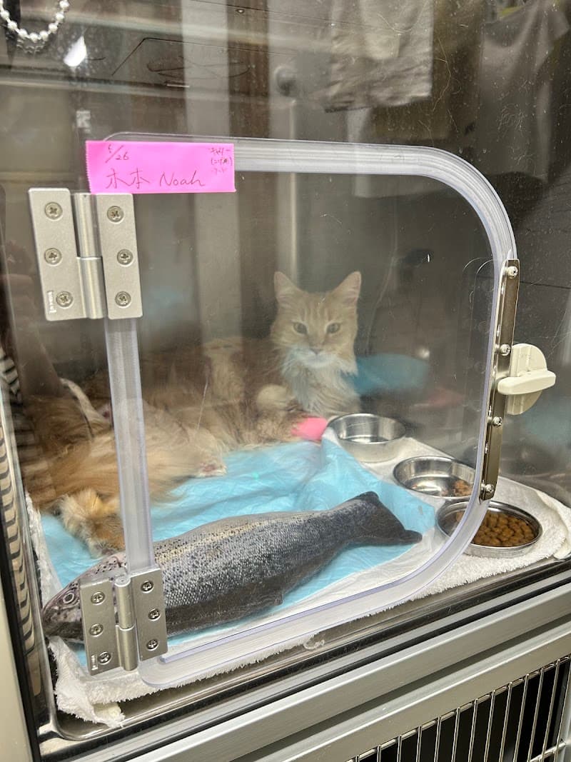 トッキー動物病院
