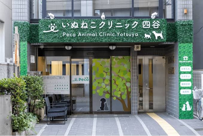 四谷いぬねこクリニックPeco