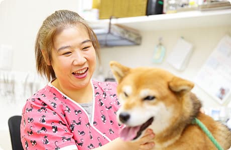 マリーペットクリニック