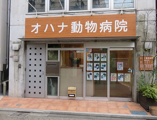 オハナ動物病院