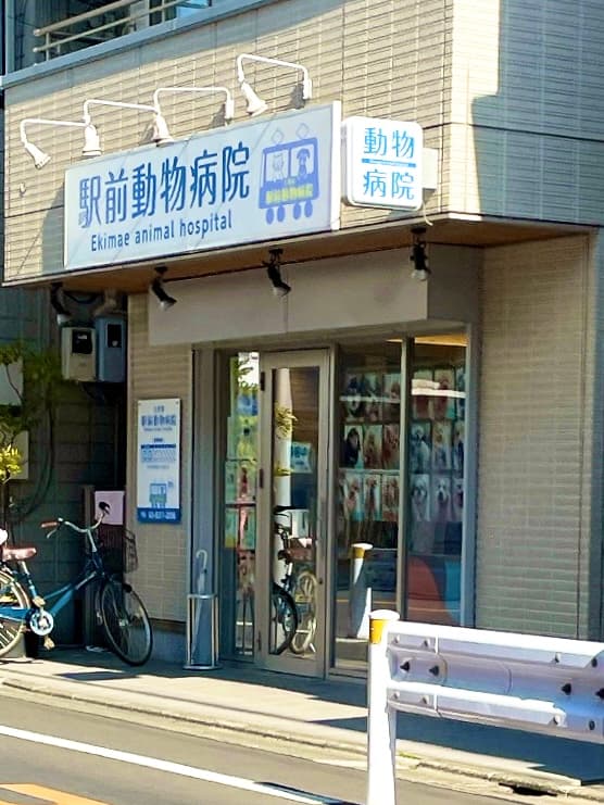 駅前動物病院