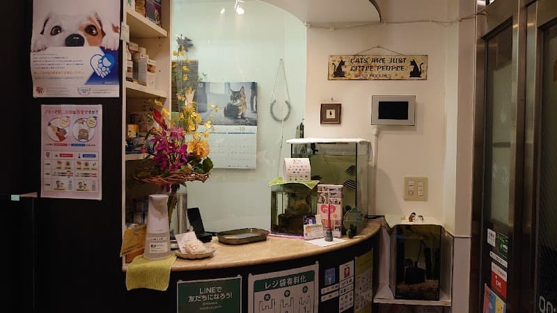 モノカどうぶつ病院