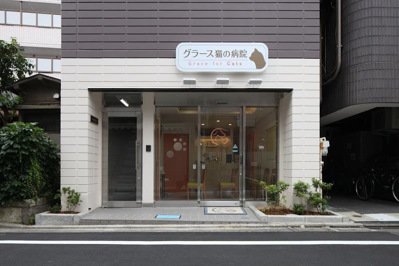 グラース猫の病院