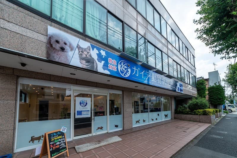 ガイア動物病院