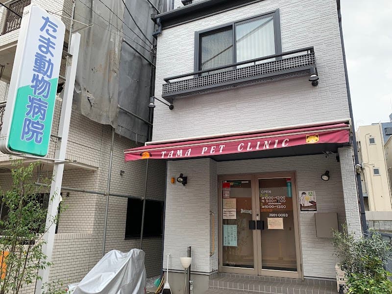 たま動物病院