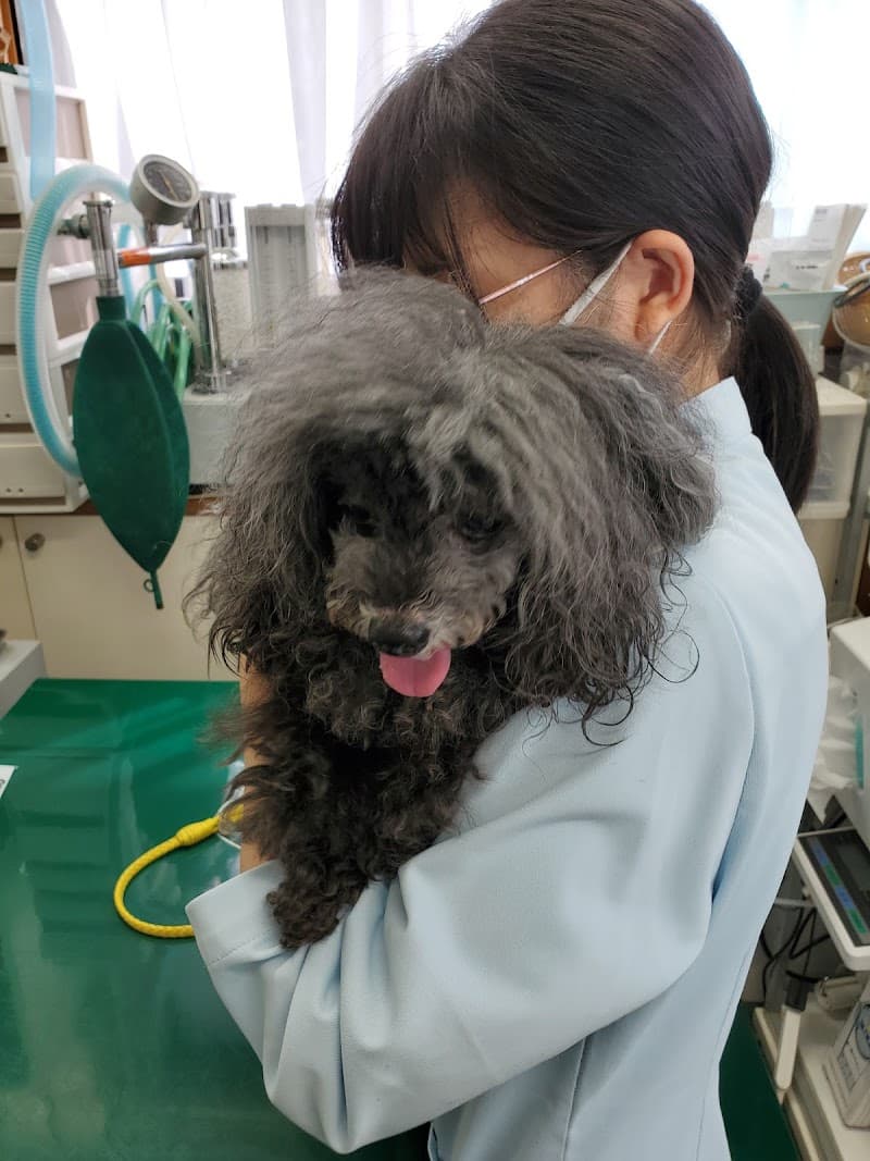 ミシナ動物病院