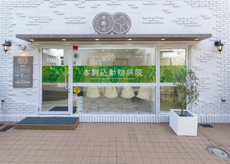 本駒込動物病院